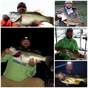 Meet your Posher, Damian